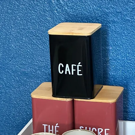 Appartement Climatise Avec Wi-fi Et Netflix - Fac, Gare & Centre A Pied