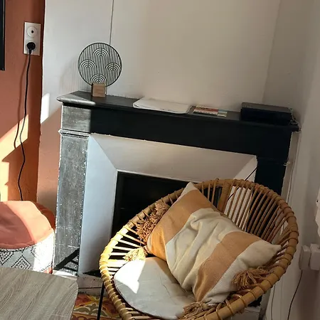 Appartement Climatise Avec Wi-fi Et Netflix - Fac, Gare & Centre A Pied