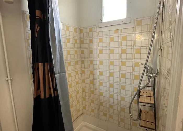 Climatise Avec Wi-fi Et Netflix - Fac, Gare & Centre A Pied Apartament