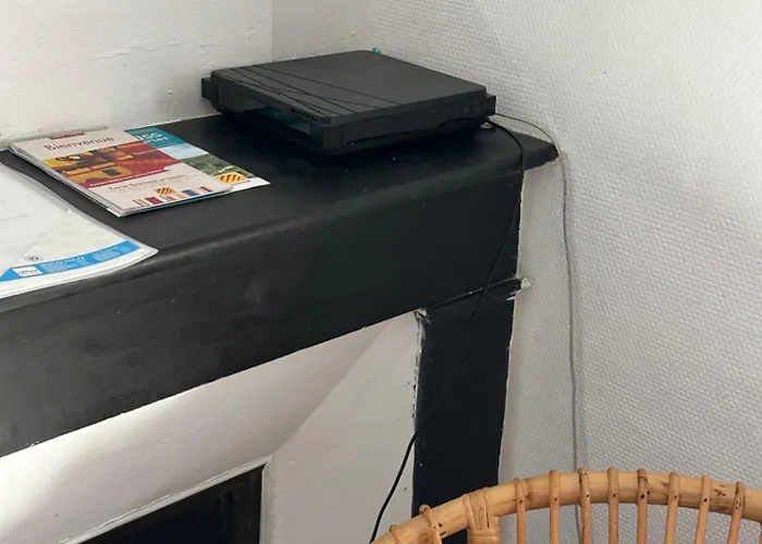 Climatise Avec Wi-fi Et Netflix - Fac, Gare & Centre A Pied Apartament *