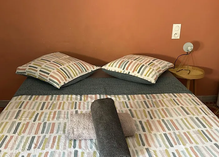 Apartament Climatise Avec Wi-fi Et Netflix - Fac, Gare & Centre A Pied *