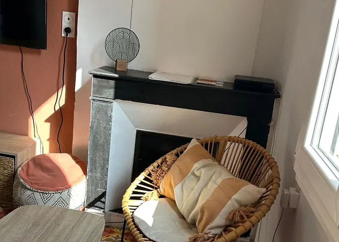 Apartament Climatise Avec Wi-fi Et Netflix - Fac, Gare & Centre A Pied