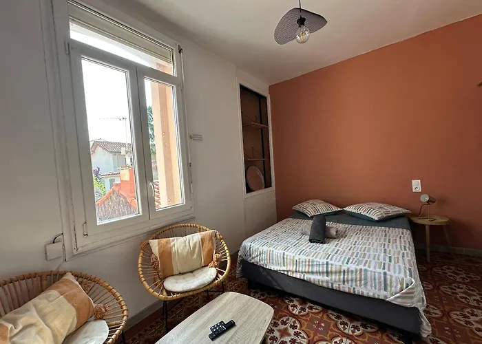 Climatise Avec Wi-fi Et Netflix - Fac, Gare & Centre A Pied Apartament *