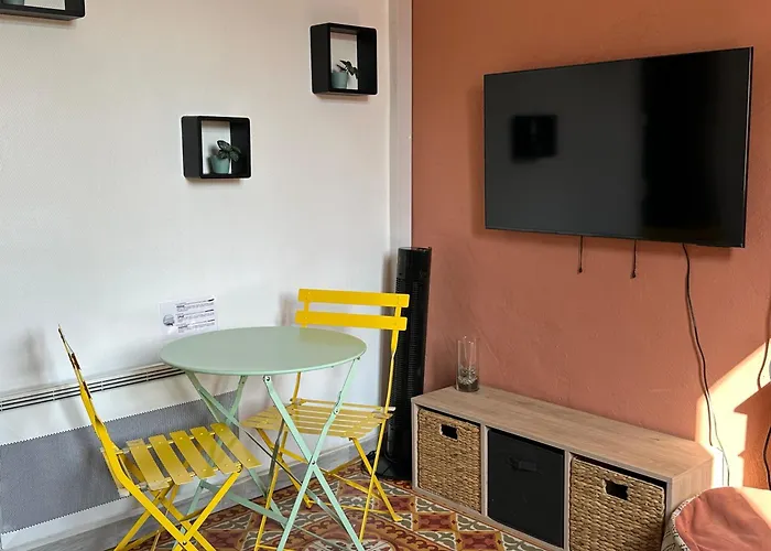 Climatise Avec Wi-fi Et Netflix - Fac, Gare & Centre A Pied *